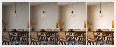 LAMPY WISZĄCE ZESTAW 3 SZTUK ogrodowe zewnętrzne regulacja jasności lampa